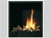 Ruby Fires inbouw unit groot incl. biobrander